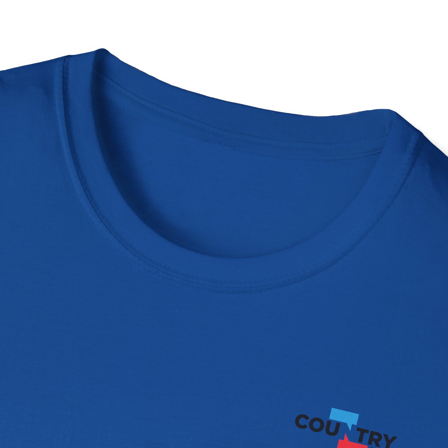 Reject Authoritarianism Vote T-Shirt — Political Activism Voter Shirt