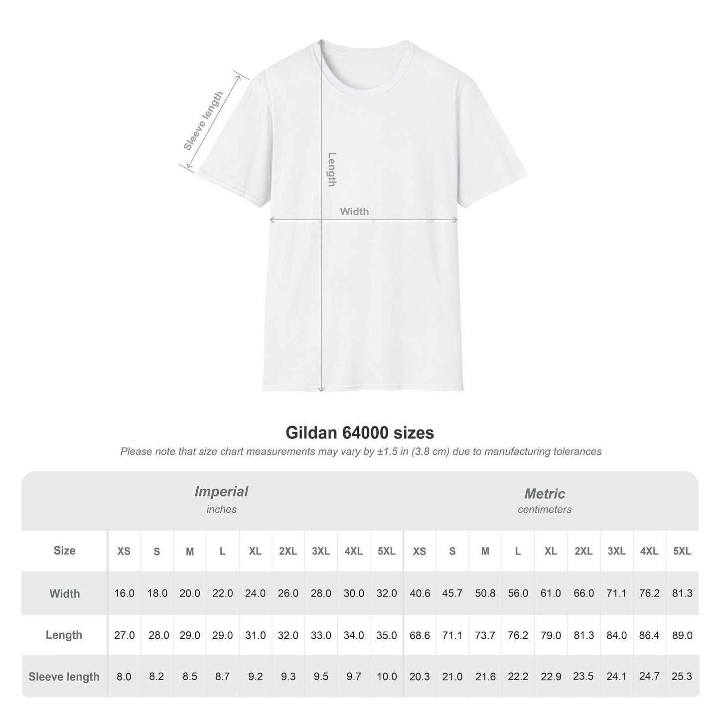 Reject Authoritarianism Vote T-Shirt — Political Activism Voter Shirt