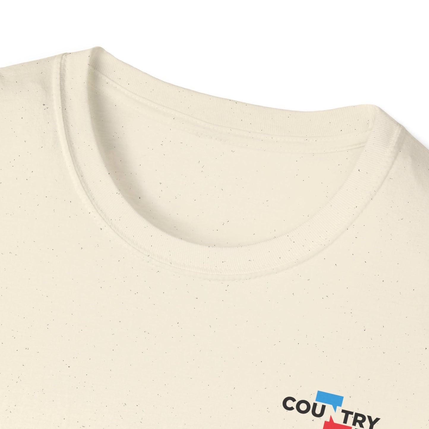 Reject Authoritarianism Vote T-Shirt — Political Activism Voter Shirt