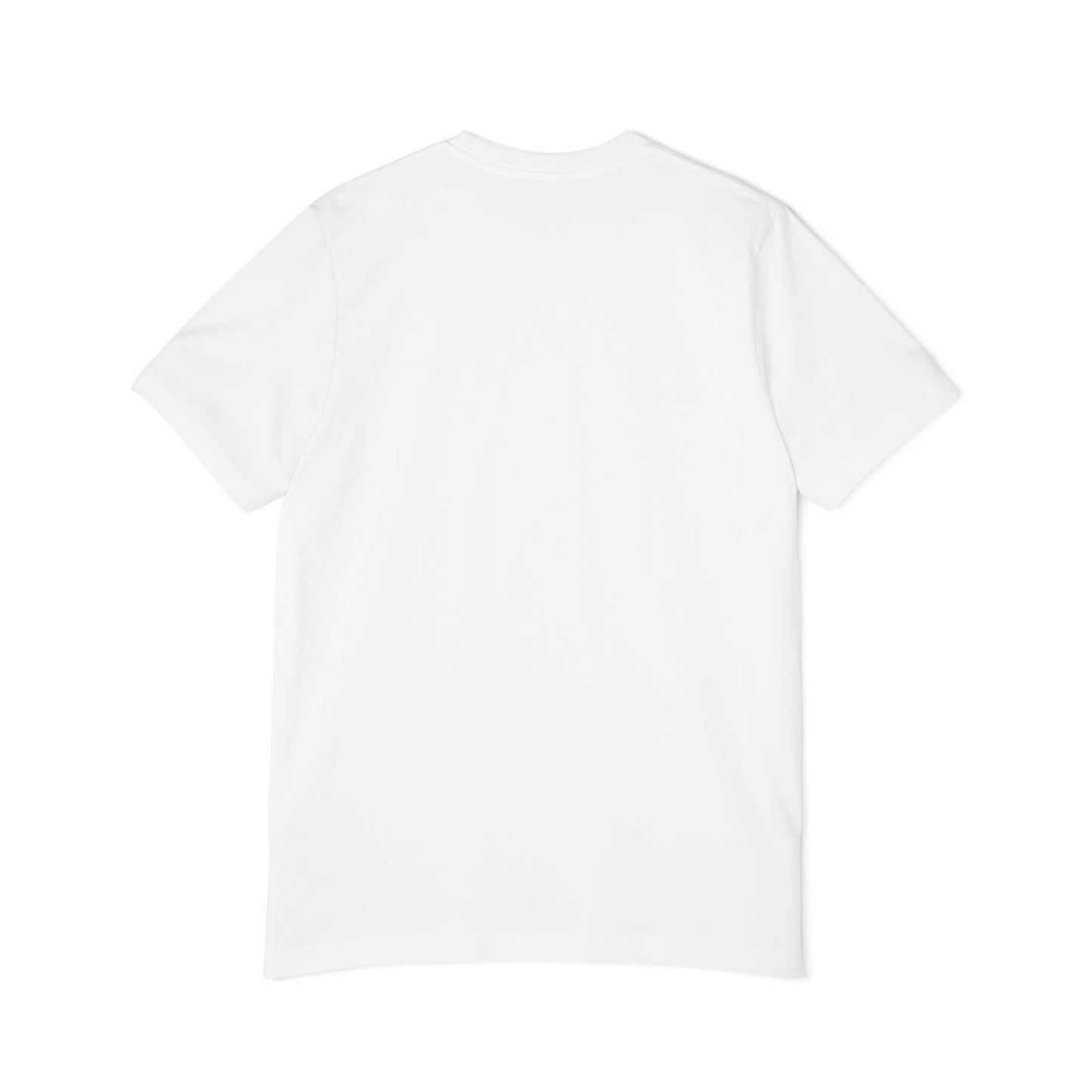 Put Country First Not Kings T-Shirt — Patriotic American Flag Tee
